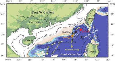 Marine sediment nitrogen isotopes and their implications for the nitrogen cycle in the sulfate-methane transition zone